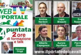 Rivedi subito la puntata 24 della WebTV