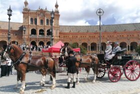 Attacchi: Davvero una Magia!