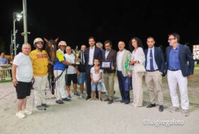 Cesena Trotto, resoconto delle corse di sabato