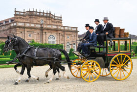 Attacchi: Superba cornice Regale