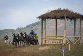 Attacchi, Campionati Europei Tiro a quattro e Para Driving: ecco i convocati