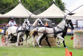 Attacchi: Sport, Amicizia ed Emozioni. Trofeo “Città di Travagliato” 2025