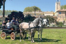 “Tutti in carrozza!”