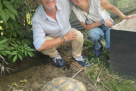 Inaugurato il primo rifugio tartarescue in italia!