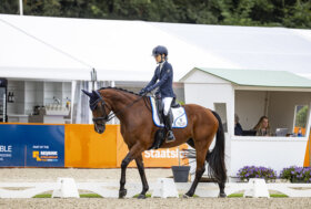 Paradressage: Campionati d’Europa. Morganti e Mariebelle d’argento a Ermelo