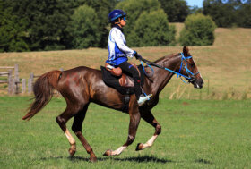 Endurance: quattro amazzoni per quattro titoli nazionali