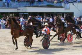 Ippodromo di Bologna: otto corse con TQQ e grandi nomi in pista giovedì 13 novembre
