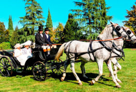 Viaggio nel tempo…in carrozza