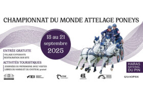 Attacchi: due giovani driver azzurre ai Campionati del Mondo Pony di Le Pin au Haras