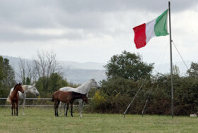 I Persano a Persano, successo per “I Puledri della Rinascita”