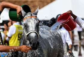 Azzurre dell’endurance protagoniste a Sines