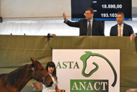 Ippica: Cifre record per Asta Anact 2025
