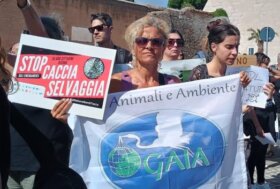 Gaia al corteo di Roma contro la liberalizzazione della caccia!