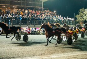 In attesa del XXXVII Palio Dei Comuni, venerdì 14 novembre a Montegiorgio, omaggio a Montegranaro