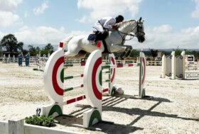 Salto ostacoli: a Tanca Regia il Campionato del Cavallo Sardo con 210 binomi iscritti