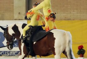 Volteggio: tre stage federali per promuovere la disciplina in Sicilia, Sardegna e Veneto