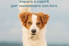 I cani non sono tutti uguali