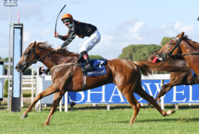 23 novembre al galoppo: l’ultima domenica di corse a Capannelle