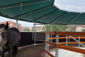 Cavalli in forma tutto l’anno, strutture per l’allenamento