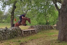 Equitazione: Dressage e Completo a Tanca Regia (Abbasanta) nel fine settimana