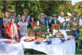 Attacchi: Viaggiare… come un tempo