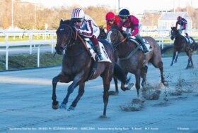 All’ippodromo Snai San Siro il sabato di galoppo sulla pista in sabbia premia Subic Dah nel Premio Scuderia Rencati e Lisbeth