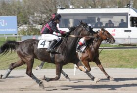All’ippodromo Snai San Siro di Milano venerdì di corse con la finale del ‘Trofeo Trotto