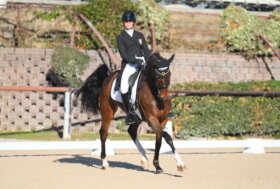 Conclusi al Riviera Resort i Trofei italiani e il Best Rider di Dressage