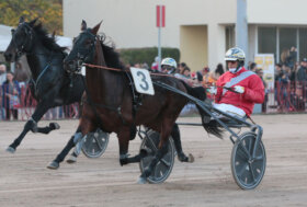 Ippodromo di Bologna: lunedì otto corse. Per le famiglie battesimo della sella e trenino.