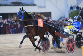 Arcoveggio: giovedì otto corse nel nome di Isibetpro