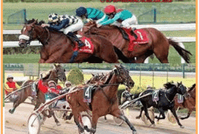 2026: L’IPPICA ITALIANA TORNERÀ IN AUGE