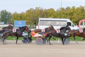 Martedì di trotto all’ippodromo Snai San Siro di Milano con sette
