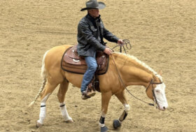 Reining: successo per il Clinic di Casey Deary. Attenzione a formazione, tecnica e benessere del cavallo 