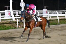 All’Ippodromo Snai San Siro nei due handicap di classe 4 del mercoledì netta vittoria di Lucid nella Tris Straordinaria e di Setteffe nella Seconda Tris