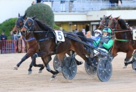 Ippodromo di Bologna: domenica 15 febbraio tornano le corse all’Arcoveggio dalle 14:55