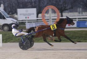Una domenica di grande trotto all’Ippodromo Snai San Siro che ospita l’atteso gran Premio Mario Locatelli 